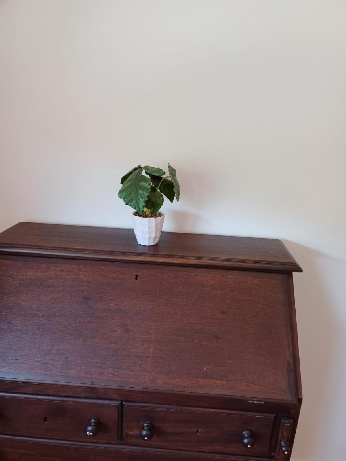 Apartament Pinhao House Zewnętrze zdjęcie